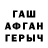 ГАШ гарик flash13