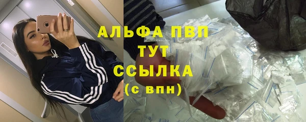 амф Гусиноозёрск