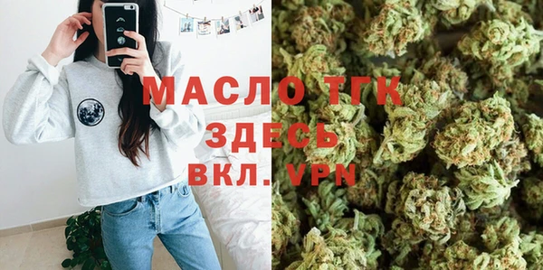 первитин Гусев
