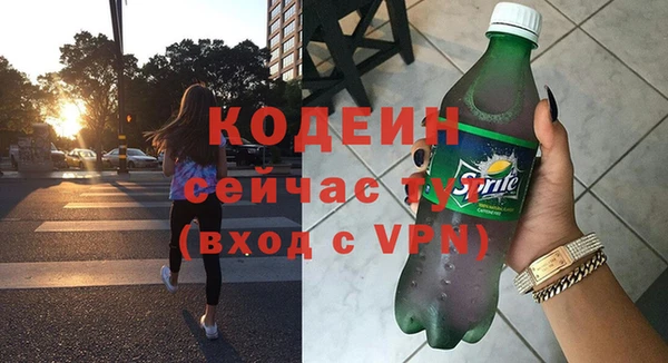 первитин Гусев