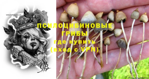 амф Гусиноозёрск