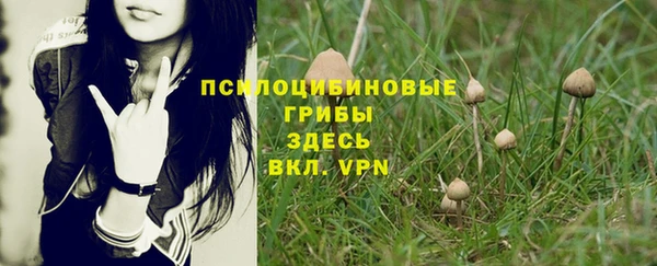 амф Гусиноозёрск