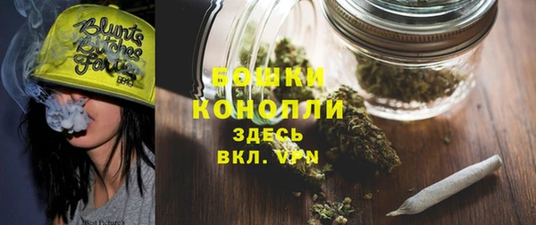 амф Гусиноозёрск