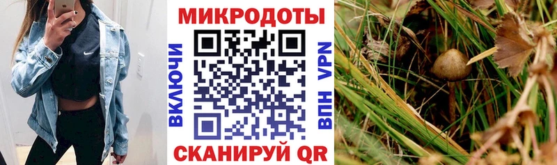 Купить где  Вельск  Галлюциногенные грибы мухоморы 